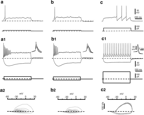 Fig. 12