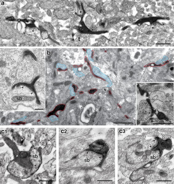 Fig. 8