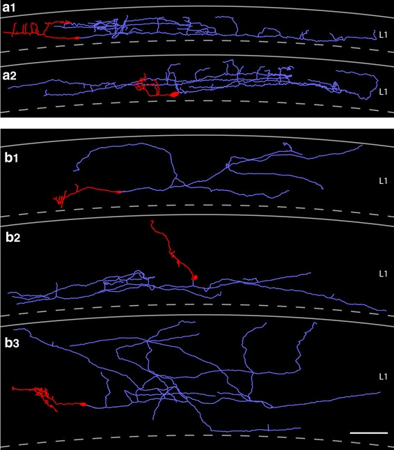 Fig. 5