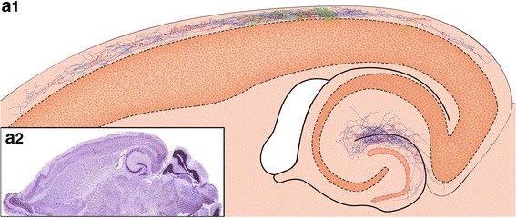 Fig. 4