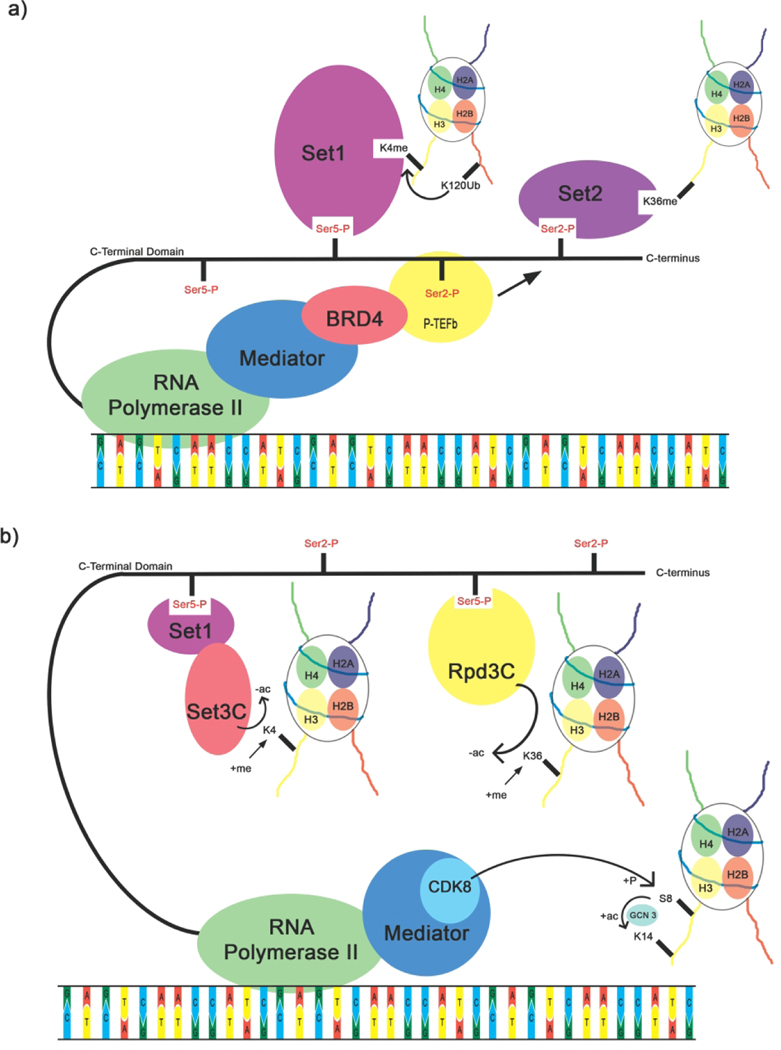 Figure 4: