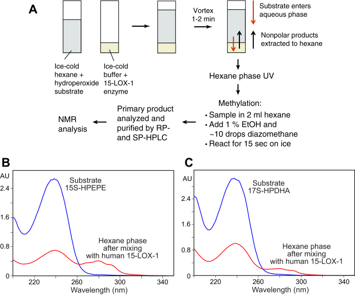 Fig. 1
