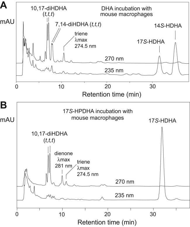 Fig. 10
