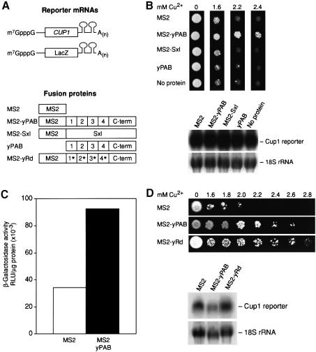 graphic file with name cdd454f8.jpg