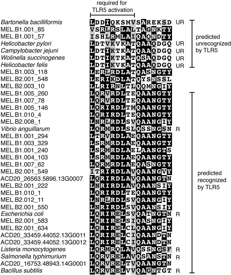 Figure 7.