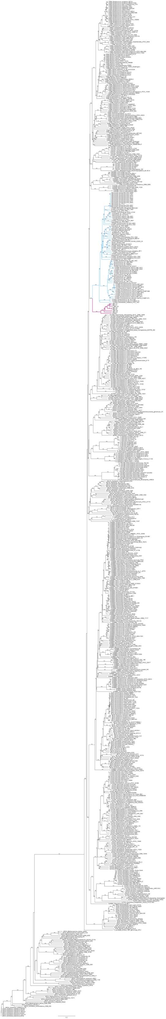 Figure 3—figure supplement 1.