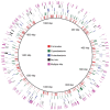 Figure 5—figure supplement 1.