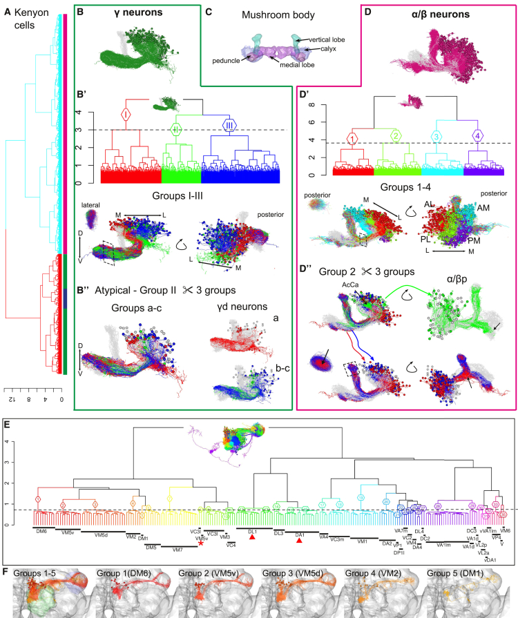 Figure 4