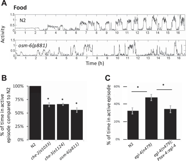 Fig. 13.