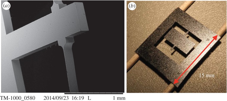 Figure 1.