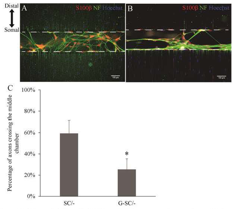 Figure 6: