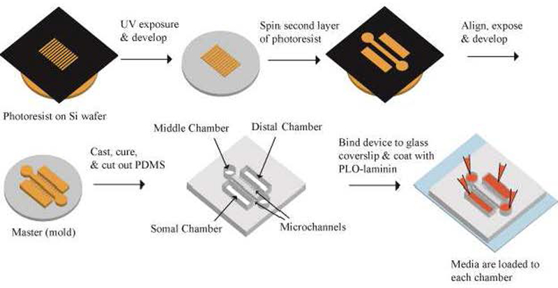 Figure 2: