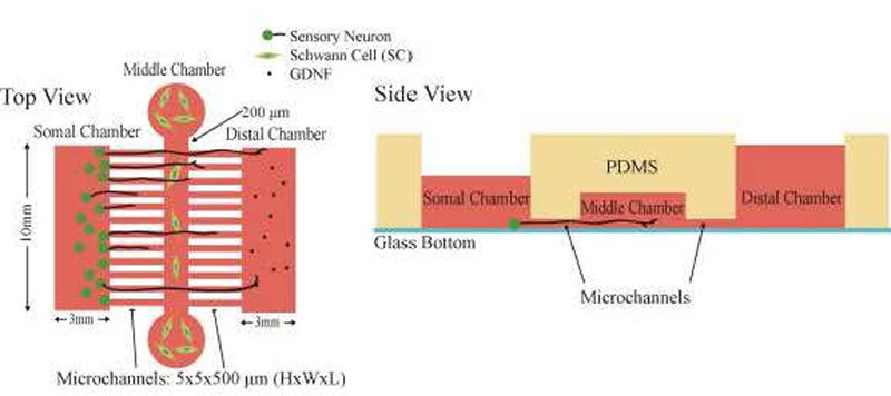 Figure 3: