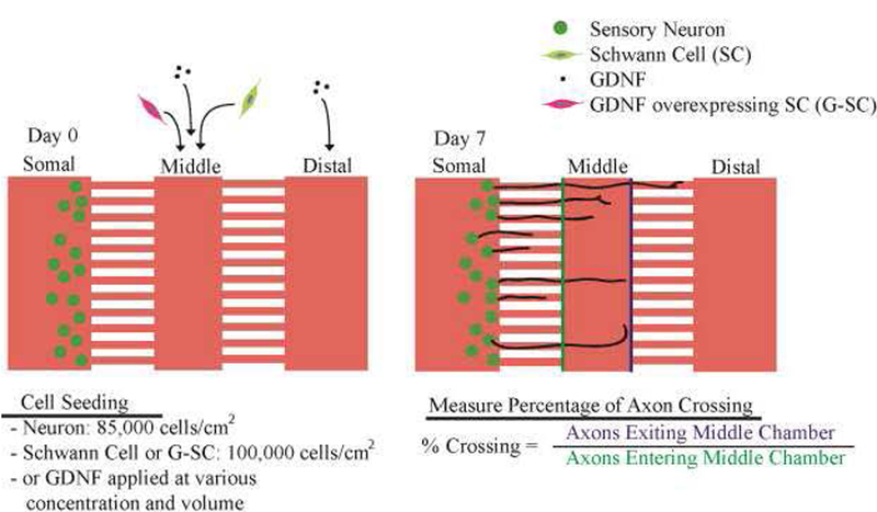 Figure 5: