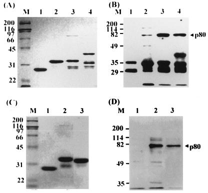 FIG. 9