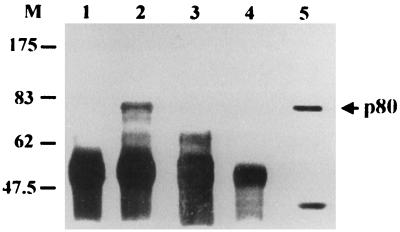 FIG. 10