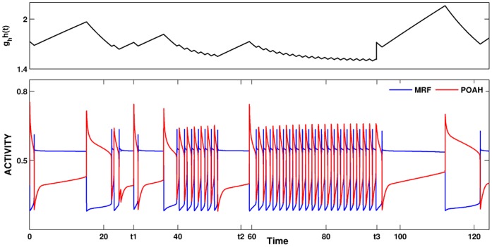 Figure 13