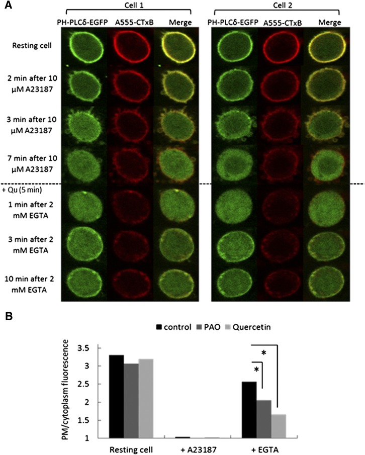 Fig. 6.