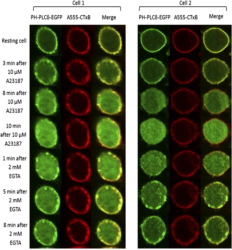 Fig. 4.