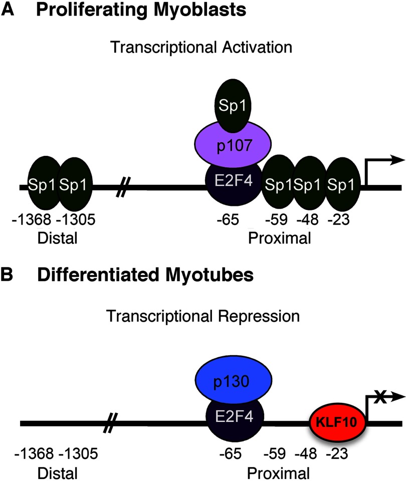 FIGURE 7.