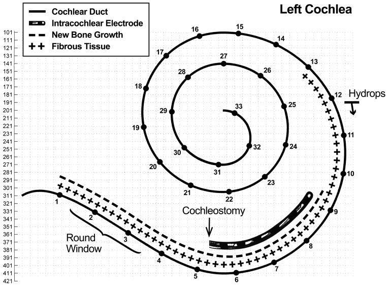 Figure 8