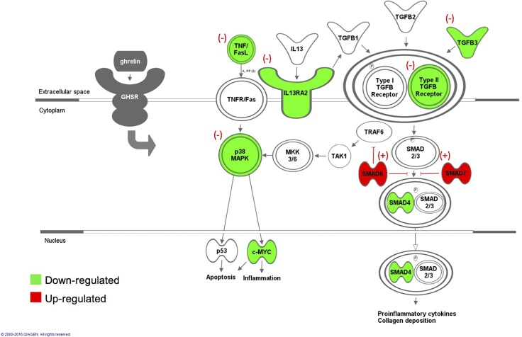 Fig 6