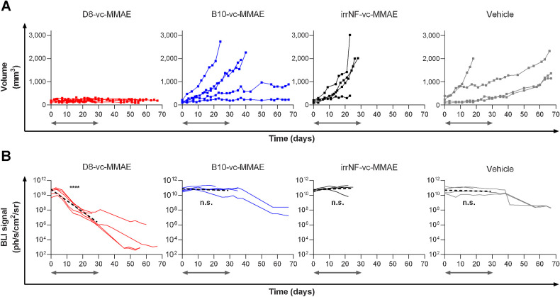 Figure 3. Therapeutic efficacy of D8‐vc‐MMAE against A431-Luc+ tumor xenograft model in nude mice. Mice were treated with 3 mg/kg of Nanofitin-drug conjugates or vehicle. Time zero of the treatment is set when tumor volume reaches 90 mm3. Gray arrows indicate the period of treatment. A, Individual tumor growing curves. B, Individual bioluminescence imaging curves (solid) and simple linear regression curve during treatment (dashed) statistically compared to a nonzero slope hypothesis. ****, P < 0.0001; n.s.: not significant.