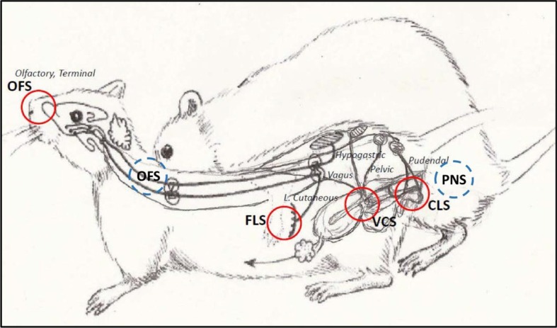 Fig. 3