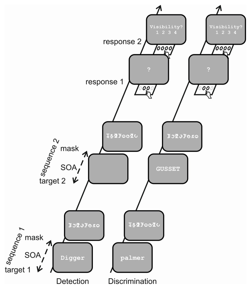 Temporal 2 alternative forced choice (2AFC) task