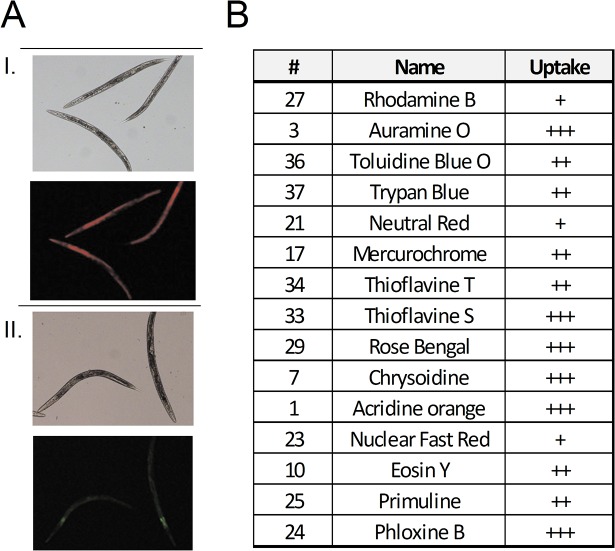 Fig 4