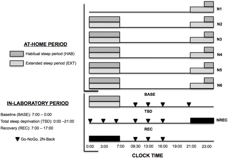 FIGURE 1