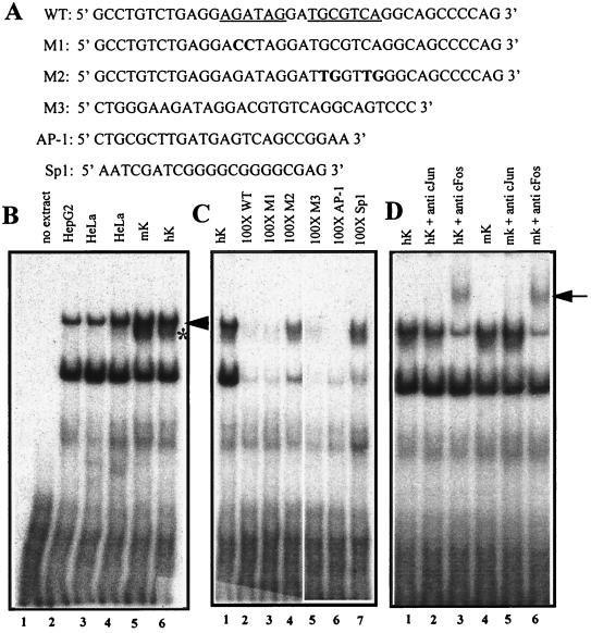 FIG. 6