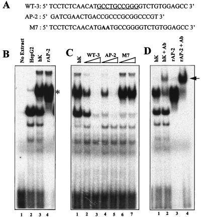 FIG. 8