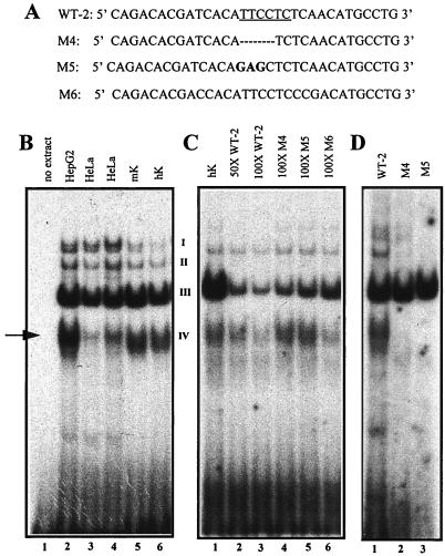 FIG. 7