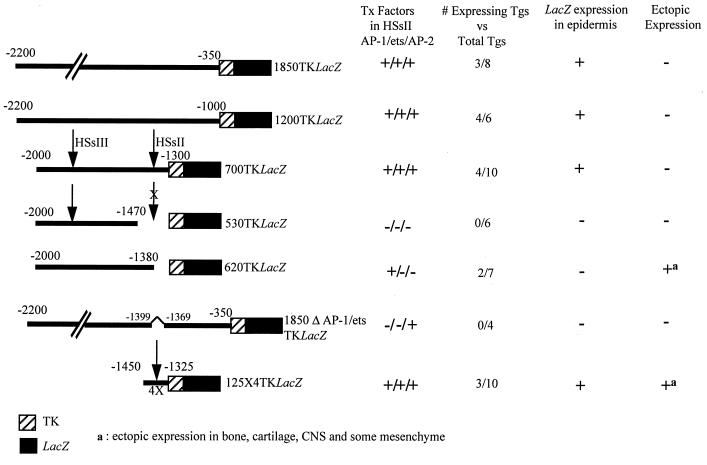 FIG. 10