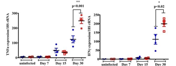 Fig. (3)