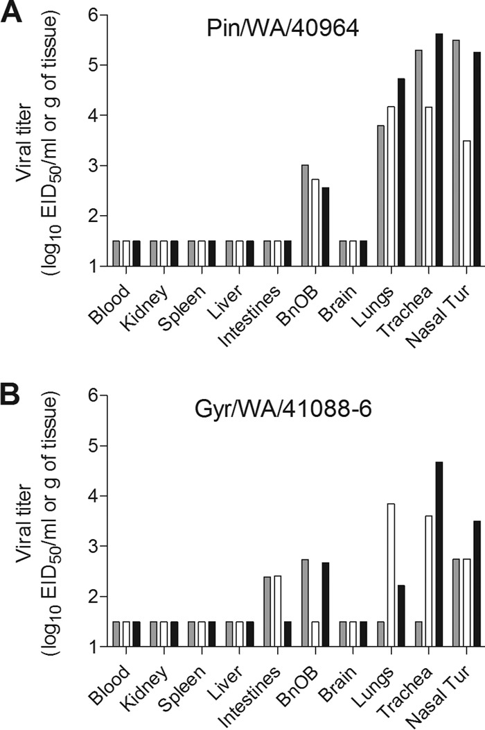 FIG 3