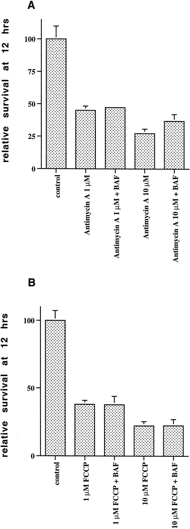 Fig. 9.