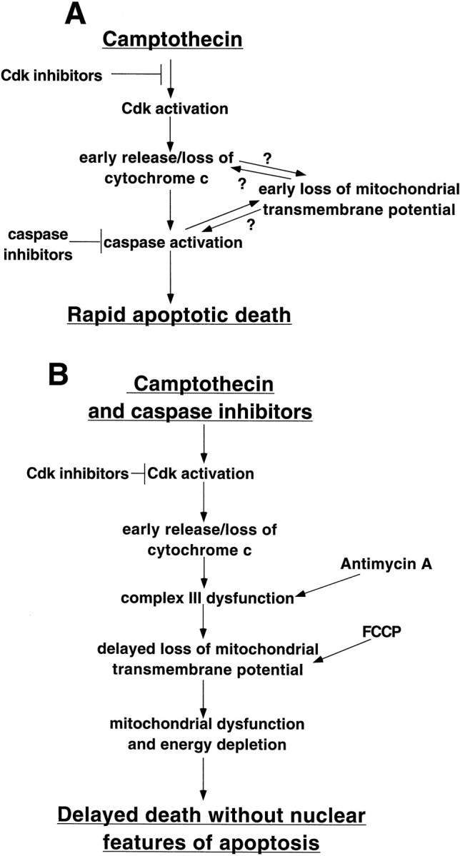 Fig. 11.