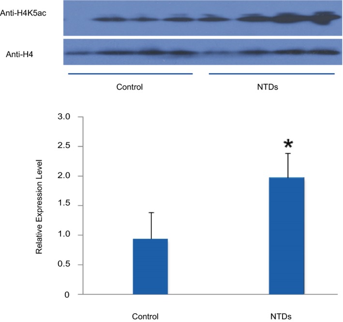 Figure 5