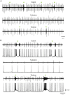 FIGURE 12
