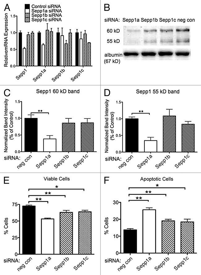 graphic file with name rna-9-1361-g6.jpg