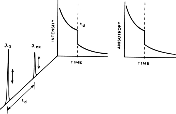 SCHEME 1: