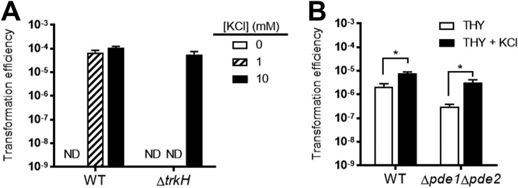 FIG 2