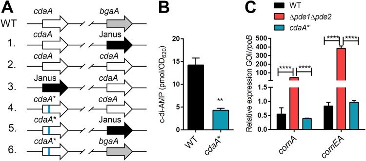 FIG 3