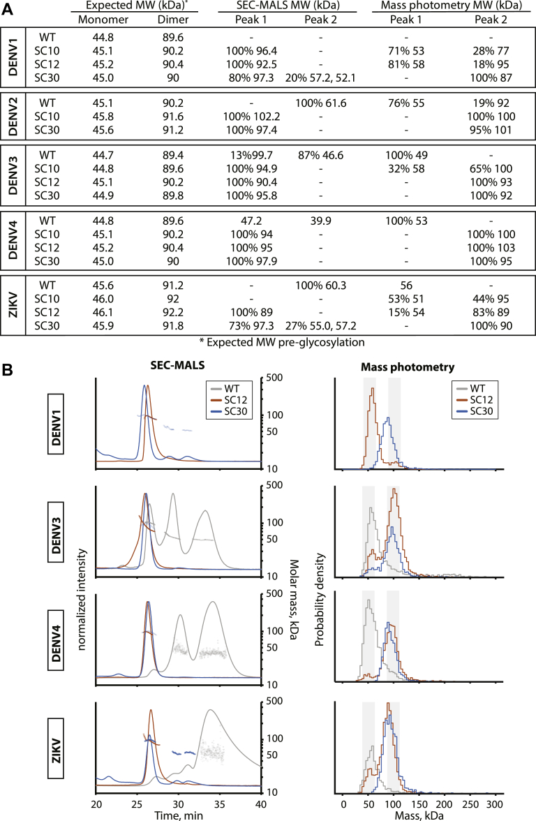 Figure 3