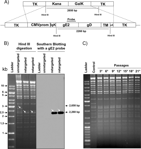 FIG. 3.