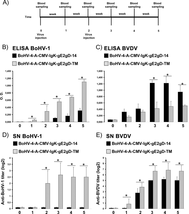 FIG. 6.