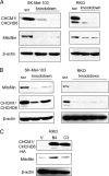 FIGURE 10.