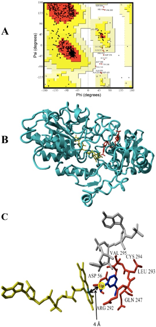 Figure 7